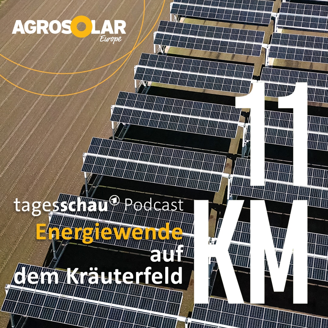 ARD-Podcast_11km
