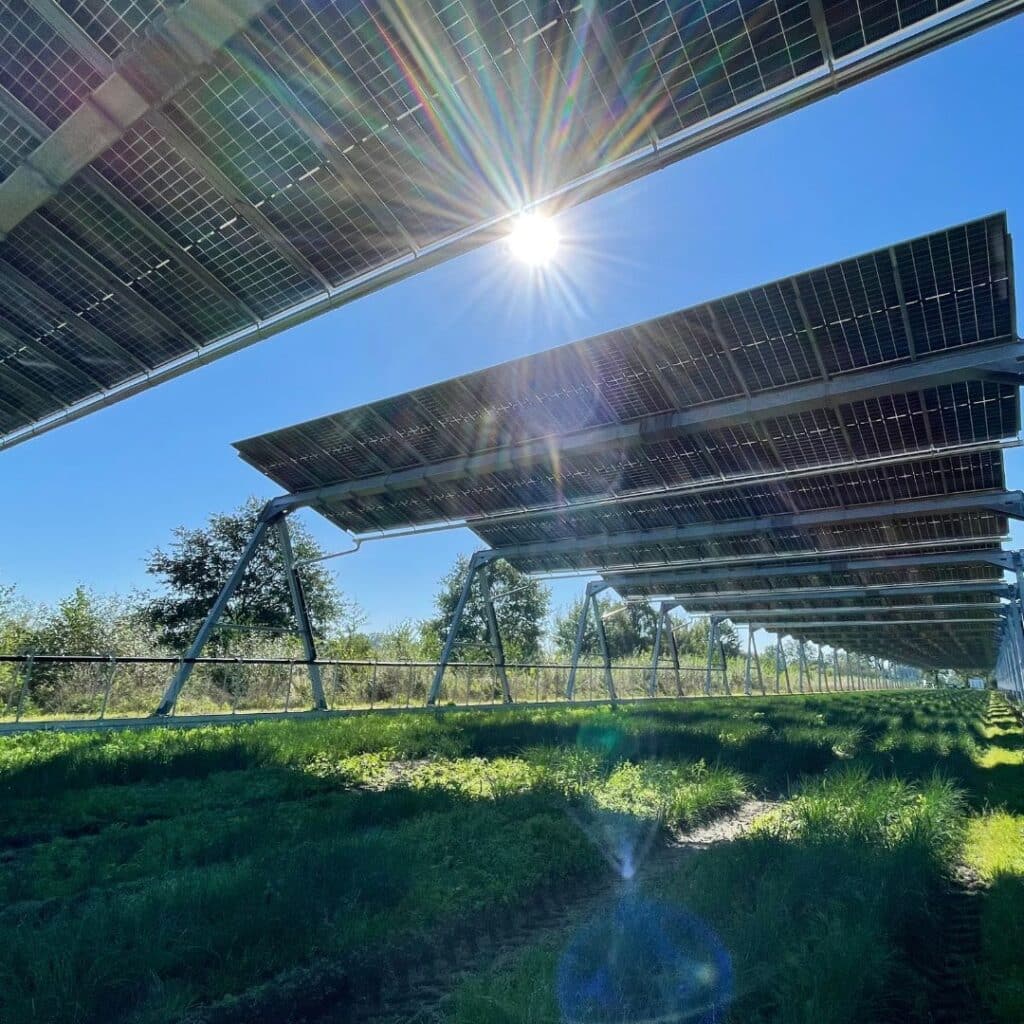 Agri-Photovoltaik-Anlage von AgroSolar Europe mit Sonne