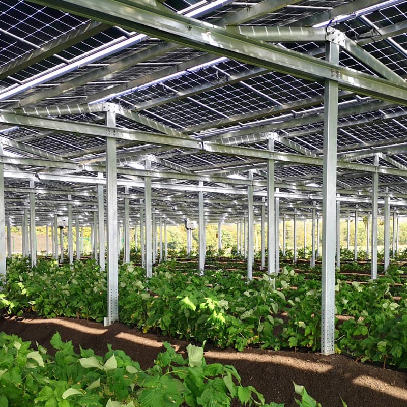 Agri Photovoltaik Produkte Ansicht AgroSolar Europe