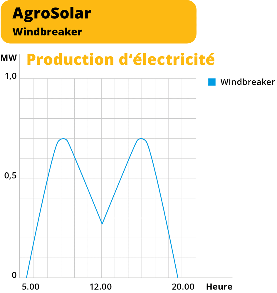 Agri-PV Production d'électricité Windbreaker AgroSolar Europe
